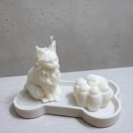 Gift Pet Box 1