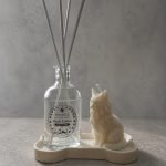 Gift Pet Box 2